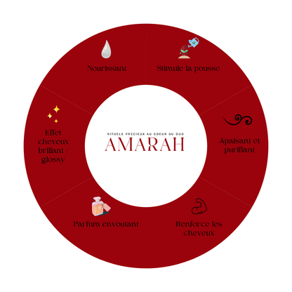 Shampoing à l'Huile d'Amande Et Aloé Vera - 480ML